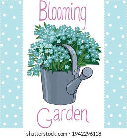 The image of blue forget-me-nots in a watering can on a white background (vector), the inscription Blooming garden.