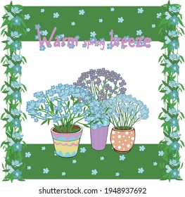 The image of blue and purple forget-me-nots in garden pots on a white background (vector), the inscription "Warm spring breeze" 