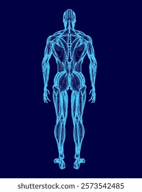 The image is a blue representation of a human body, with the back and legs visible. The man depicted in the image is standing upright, with his arms at his sides