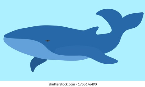 Image of a blue whale. Vector image, eps 10