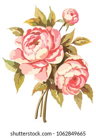 An image of a bouquet of peonies in color. Vector