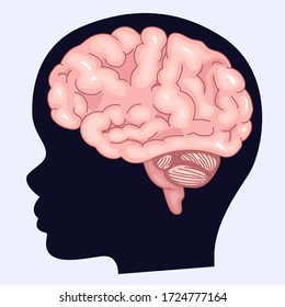Image of the brain and silhouette of a human profile. Children's brain and fantasy. ASMR triggers.