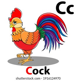 Image of a bright rooster. Children's illustration. Letter C. English alphabet.