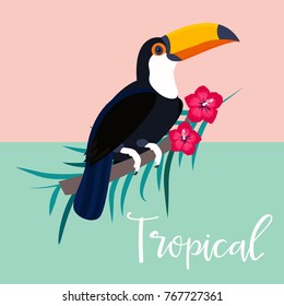 Image of bright tropical bird. 