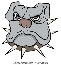 Imagen de la cara de un perro toro.