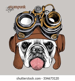 The image of the bulldog portrait in the Steampunk helmet. Vector illustration.