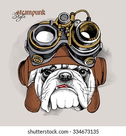 The image of the bulldog portrait in the Steampunk helmet. Vector illustration.