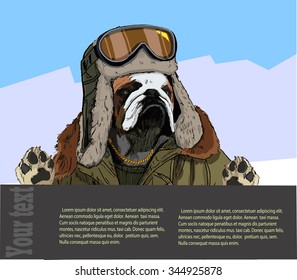 The image of a bulldog in winter clothes against the backdrop of beautiful mountain scenery. Great for posters and winter sports apparel.Vector,illustration. 