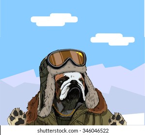 The image of a bulldog in winter clothes against the backdrop of mountain scenery. Great for posters and winter sports apparel.Vector,illustration. 