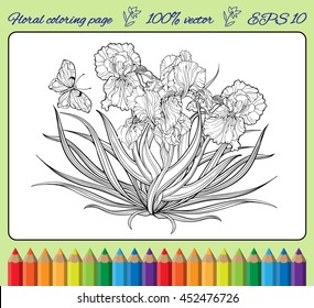 Image of a bunch of iris flowers and a butterfly in a frame. Coloring page.