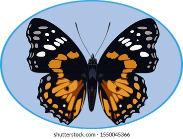 The image of a butterfly for printing on textiles and other purposes.