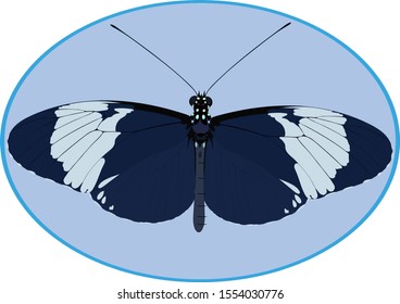 The image of a butterfly for printing on textiles and other purposes.