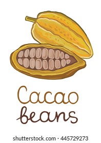 image: cacao beans