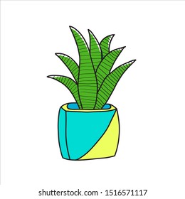 Image of cactus. Vector illustration