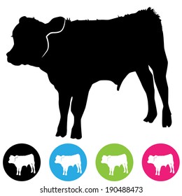 An Image Of A Calf Silhouette.