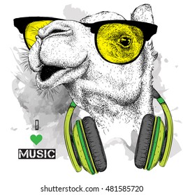 The image of the camel in the glasses, headphones and in hip-hop hat. Vector illustration.