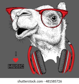 The image of the camel in the glasses, headphones and in hip-hop hat. Vector illustration.