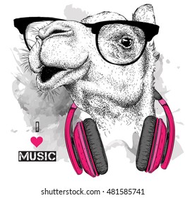 The image of the camel in the glasses, headphones and in hip-hop hat. Vector illustration.