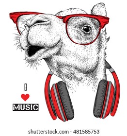 The image of the camel in the glasses, headphones and in hip-hop hat. Vector illustration.