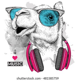 The image of the camel in the glasses, headphones and in hip-hop hat. Vector illustration.