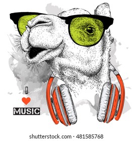 The image of the camel in the glasses, headphones and in hip-hop hat. Vector illustration.
