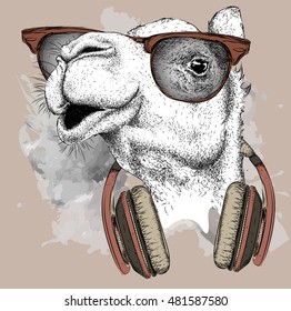 The image of the camel in the glasses, headphones and in hip-hop hat. Vector illustration.