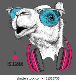 The image of the camelin the glasses, headphones and in hip-hop hat. Vector illustration.