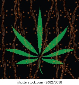Image of cannabis leaf and barbed wire in abstract style