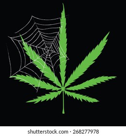 Image of cannabis leaf and spiderweb in abstract style