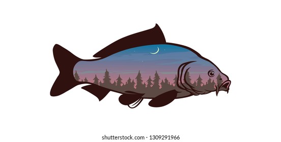 image carp fish