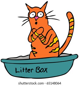 An image of a cat embarrassed using the litter box.