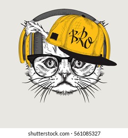 The image of the cat in the glasses, headphones and in hip-hop hat. Vector illustration.