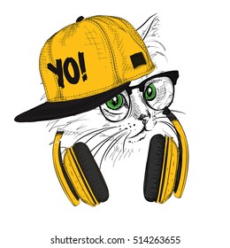 The image of the cat in the glasses and headphones. Vector illustration.