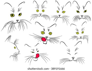 Image of cat muzzle with long whiskers isolated on the white background. Vector illustration.