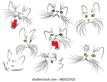 Image of cat muzzle with long whiskers isolated on the white background. Vector illustration.