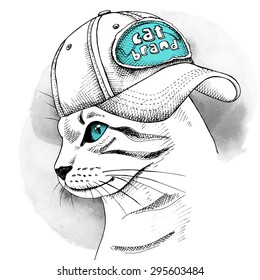 Image cat portrait in a cap. Vector illustration.