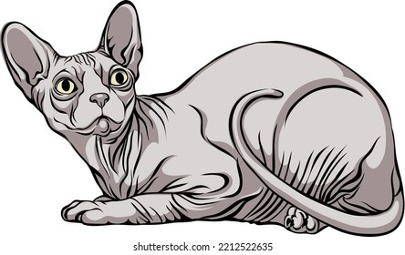 image of a cat, Sphynx cat, portrait, illustration, set, color, black, isolated, simple, icon, art, symbol, graphic, drawing