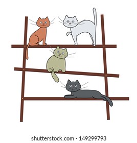 image  of a cats on ladder