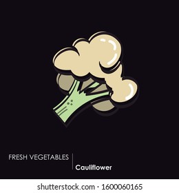 Image of a cauliflower. Color, basic and linear icon of a cauliflower. Healthy food. 