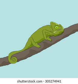 An image of a chameleon sitting on a branch.