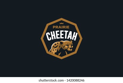 The image of a cheetah in a minimalist style.  Vector illustration
