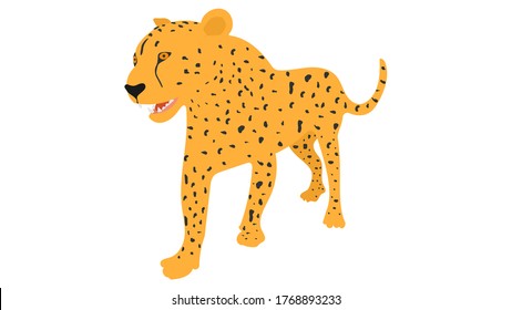 Image of a cheetah. Vector image, eps 10
