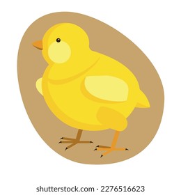An image of a chicken in an egg on a white background. Vector drawing