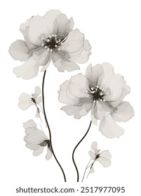 The image is a close-up of white flowers. It features petals of the plant in a sketch or art style.