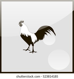 Image of an cock.