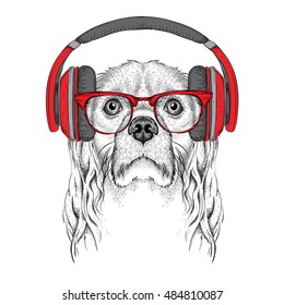 The image of Cocker Spaniel in the glasses, headphones and in hip-hop hat. Vector illustration.