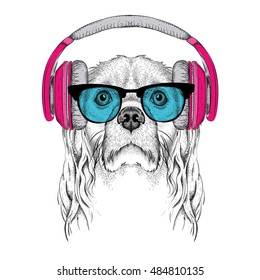 The image of Cocker Spaniel in the glasses, headphones and in hip-hop hat. Vector illustration.