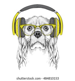 The image of Cocker Spaniel in the glasses, headphones and in hip-hop hat. Vector illustration.