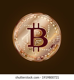 Image of a coin. Bitcoin. Cryptocurrency. Vector illustration.