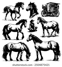 The image is a collection of black and white drawings of horses and a man in a cowboy hat. The horses are depicted in various poses, including one that is eating grass